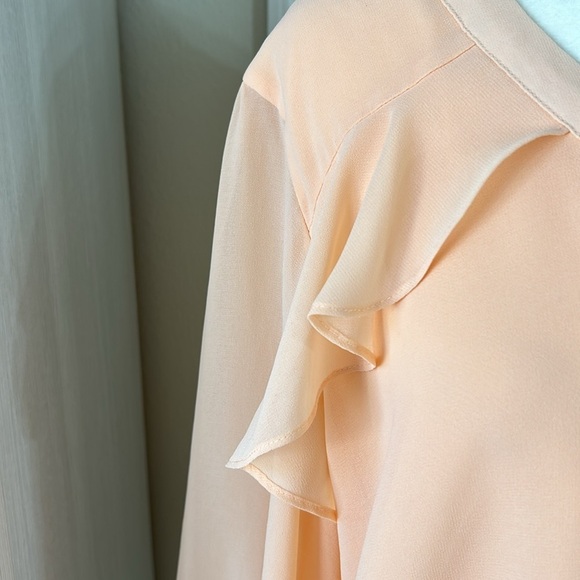 Calvin Klein Peach Button up Blouse with Ruffle Detail Sz XL - Picture 4 of 12